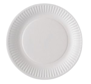 Assiette carton biodégradable 23 cm