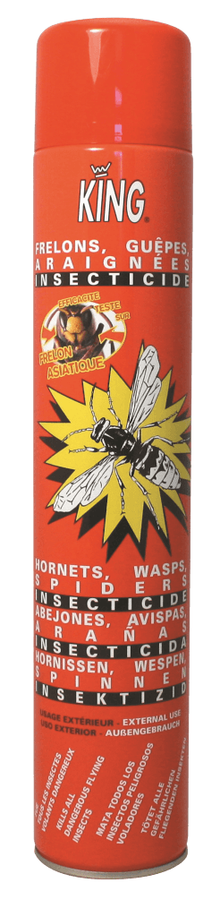 KING Anti-Frelon Guêpes Insecticide Surpuissant aérosol