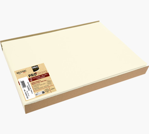 Set SPUNDBOND ivoire 30 x 40 cm - Paquet de 100 u